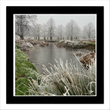 Bushy Park 4  (framed hand-signed print)