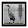 Bushy Park 5 (framed hand-signed print)
