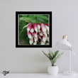 Radish (framed hand-signed print)