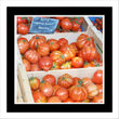 Tomatoes (digital image)